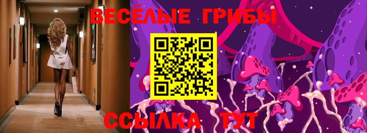 Краснокамск  Псилоцибиновые грибы прущие грибы  Псилоцибиновые грибы Psilocybine cubensis  Вход с VPN 